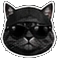 DarkCat Icon